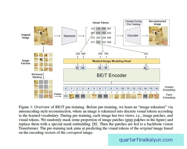 哥伦比亚队边路突破状态回暖，进攻威胁逐渐增强